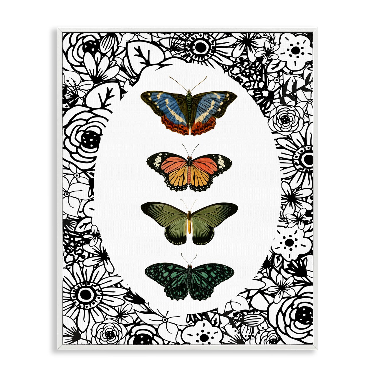 Stupell Industries Floral Border Butterfly Lineup Framed Giclee, design by Dan Meneely